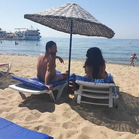 Sevo فندق